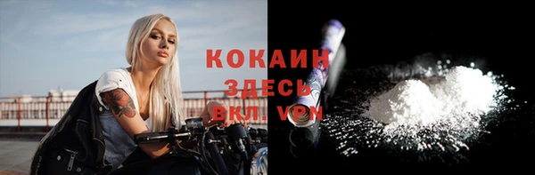 ешки Аркадак
