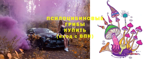 спиды Лагань