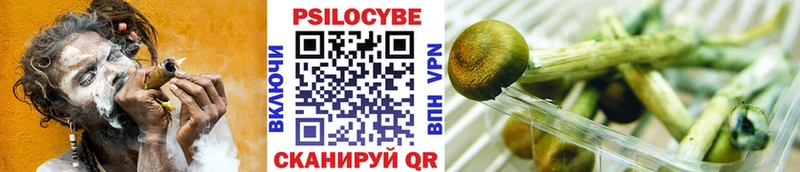 Псилоцибиновые грибы GOLDEN TEACHER  Олонец 